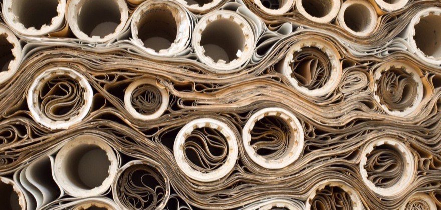 Rolls of paper stacked in a paper production facility